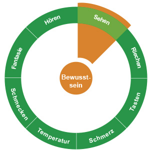 Diagramm: Schmerzen beeinflussen